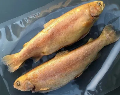 Янтарная рыбка с перцем /Вяленая рыба 1кг/ Сушеная рыба 1000г - купить с  доставкой по выгодным ценам в интернет-магазине OZON (844770863)