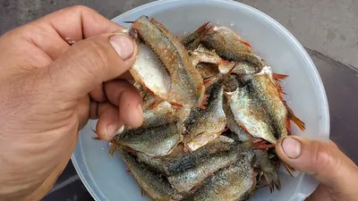 Янтарная рыбка с перцем — Оптово-розничный магазин Ёрш