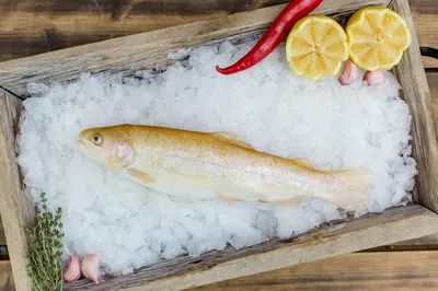 Янтарная рыбка 5 Океан сушеная с перцем 150 г купить для Бизнеса и офиса по  оптовой цене с доставкой в СберМаркет Бизнес