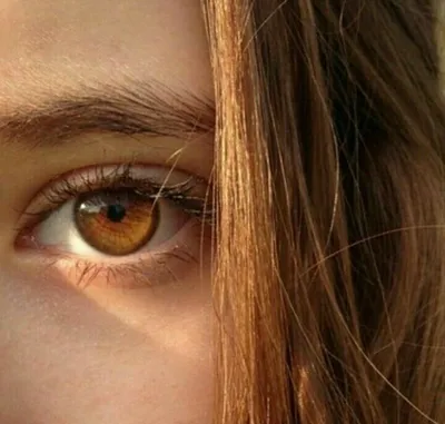 Глаза хоанительницы | Brown eyes aesthetic, Eye photography, Aesthetic eyes