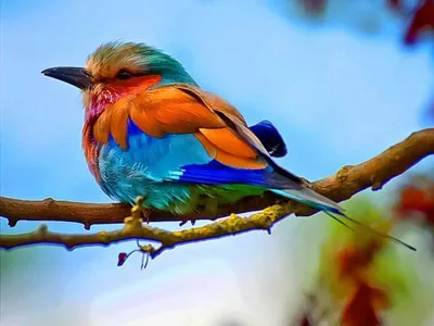 Алания Национальный Парк - 🦜Яркая щурка Эта птица точно попадёт в любой  ТОП самых необычных птиц на территории нашей страны. Казалось бы, такие яркие  птицы могут обитать только в тропиках. Но нет: