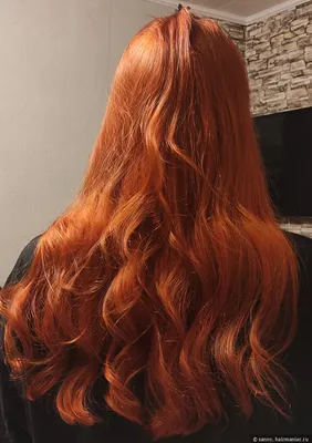 Рыжие красотки о том, как цвет волос помогает выйти замуж - 10 июня 2019 -  НГС