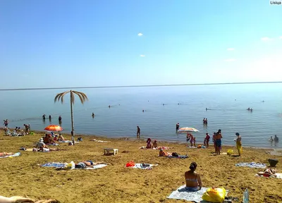 Очистку алтайского озера оценили в миллиард - Российская газета