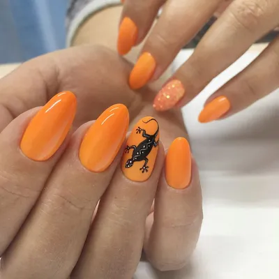 Ящерица на ногтях оранжевый маникюр | Оранжевый маникюр, Ногти, Маникюр