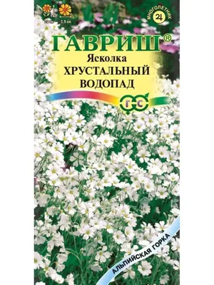 Саженцы ясколки - купить многолетние цветы в питомнике SlavUsadba.ru