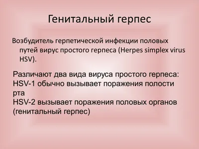 Генитальный герпес - Клиника