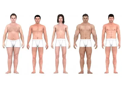 Идеальные пропорции женского тела по мнению мужчин | Мемуары Домового | Дзен