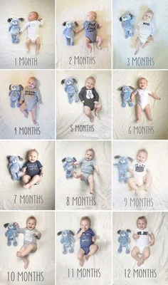 20 идей для фото ребенка по месяцам - Впервые мама | Фото ребенка,  Фотографии новорожденных мальчиков, Детские товары