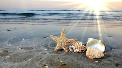 Идеи для стильных фото на пляже 🌊 Сохраняйте ♥️. . Самый главный совет -  это быть собой! Просто кайфуйте и много двигайтесь ) Веселитесь… | Instagram