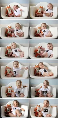 The Best Of Pintetest February 11, 2016, 8:00 am | Creative monthly baby  photos, Monthly baby pictures, Monthly baby photos