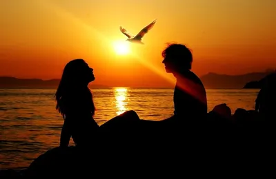 Романтичные пары морем Sillhouettes Стоковое Изображение - изображение  насчитывающей люди, счастливо: 96938891