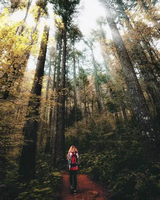 Идеи для фотосессии в лесу: ее особенности и проведение