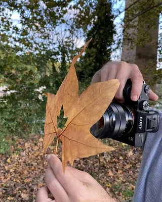 Фотостудии в Москве для женской фотосессии