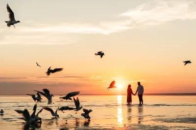 sunset, картинки море закат любовь, картинки двое влюбленных на закате,  свадебное пара на пляже фото на закате, фотографии закат море пара,  свадебные фото на фоне заката, Свадьба в Черногории