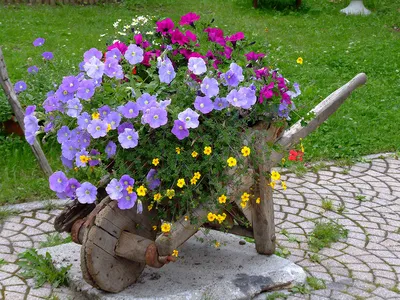 Цветник своими руками: 63 идеи оформления клумб и цветников с фото и  советами | Houzz Россия