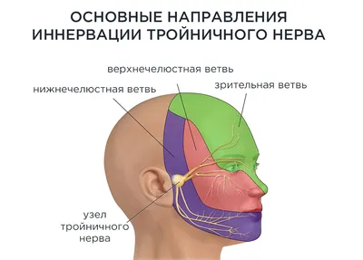 Иглотерапия в Астане | Инемен емдеу Астана | Iglomed.kz