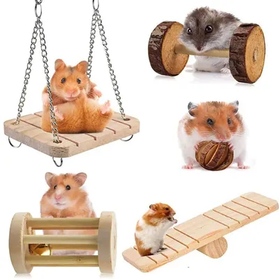 Милые натуральные деревянные игрушки кролики сосновые гантели деревянная  игрушка \"шар\" роликовые игрушки-Жвачки для морских свинок крысы маленькие  домашние моляры | AliExpress