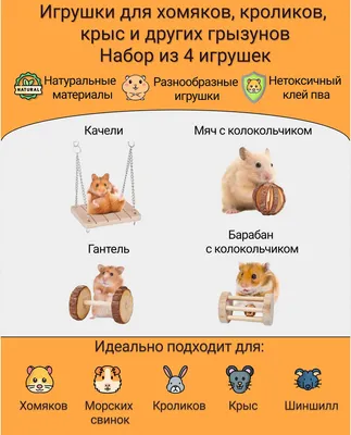 Игрушки для грызунов - купить с доставкой по выгодным ценам в  интернет-магазине OZON (924198139)