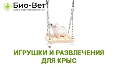 Купить Интерьерная игрушка Крыс | Skrami.ru