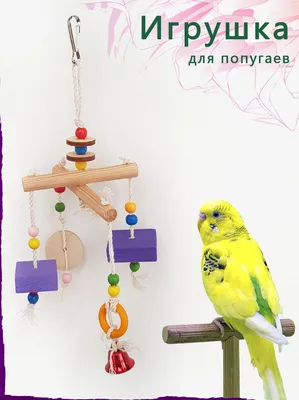 Игрушка для птиц Подружка попугая малая, цены, купить в интернет-магазине  Четыре Лапы с быстрой доставкой