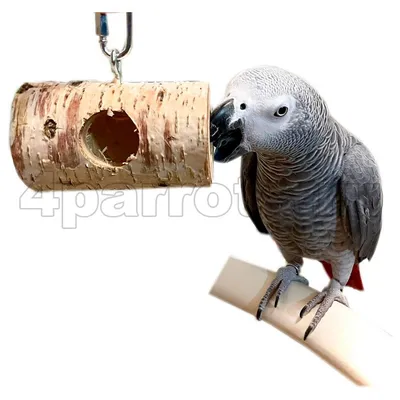8 шт., деревянные игрушки для попугаев | AliExpress