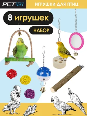Игрушка для попугаев, декоративных птиц “Олимпийка” ТМ Природа |  Интернет-магазин зоотоваров