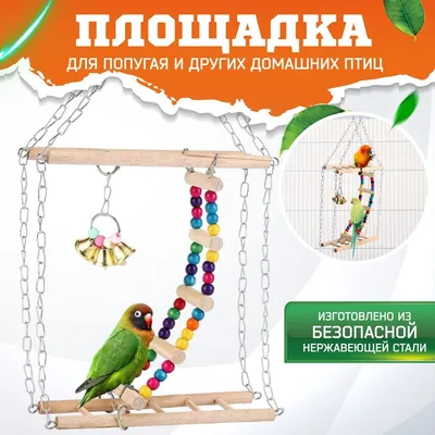 Игрушки для птиц, Big Jungle, игрушки для попугаев, лесенка, колокольчики,  качели, 3 предмета. - купить с доставкой по выгодным ценам в  интернет-магазине OZON (375601916)