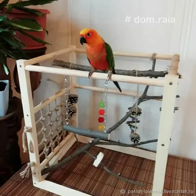 Лучшие игрушки для попугаев | ZooGav24 | Дзен