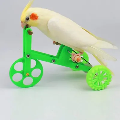 Игровой стенд для попугая в интернет-магазине Ярмарка Мастеров по цене 6800  ₽ – K3RF8RU | Игрушки для животных, Новосибирск - доставка по России