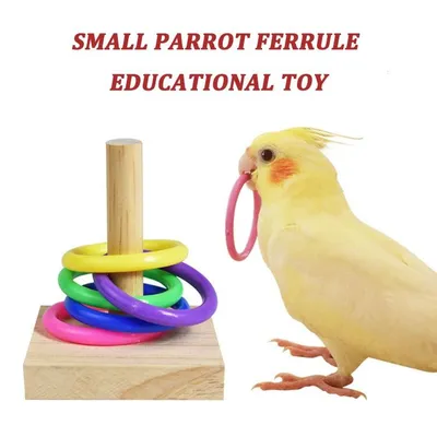 Безопасные игрушки для попугаев