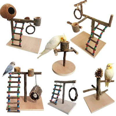 Игрушки для попугая из массива дерева, подставка для тренировок с птицами,  настольные товары для персирования, полюс для попугая, Интерактивная  игровая площадка, аксессуары для птиц | AliExpress