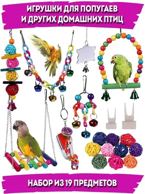 Игрушки для попугаев в клетку и для других птиц - купить с доставкой по  выгодным ценам в интернет-магазине OZON (1305875669)