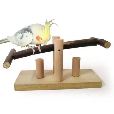 Игрушки для попугаев в клетку качели с бубенчиками Animal Toy 152922812  купить в интернет-магазине Wildberries