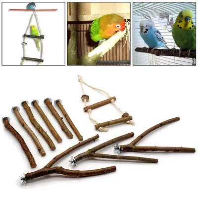 Игрушки для птиц, попугаев, красочный Попугай, игрушки для попугаев,  аксессуары для птиц, маленькие игрушки для попугаев | AliExpress