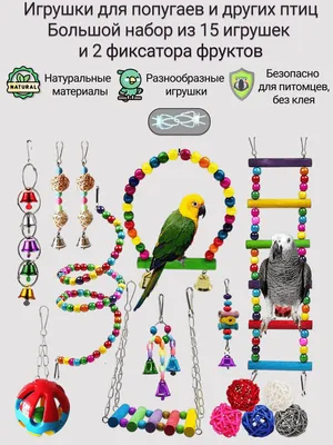 Игрушки для попугаев - купить с доставкой по выгодным ценам в  интернет-магазине OZON (922890803)