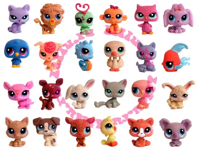 Купить Игровой набор Littlest Pet Shop (Литл пет шоп) \"Набор домашних  зверюшек\" C1674 в Минске в интернет-магазине | BabyTut