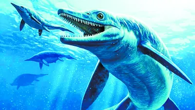 Ученые нашли крупнейшего из известных ихтиозавров. В немецком музее - BBC  News Русская служба