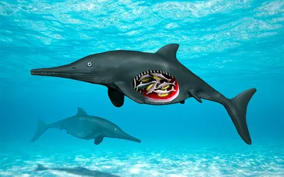 Ихтиозавр (Ichthyosaurus) — фото, описание, размеры, среда обитания — Dino  Farm