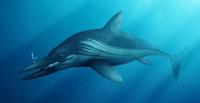 Ретро против современности. Часть 5. Ихтиозавр (Ichthyosaurus communis) -  Альтернативная История