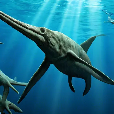 Ученые выяснили, как выглядели \"морские чудища\" времен динозавров - РИА  Новости, 06.12.2018