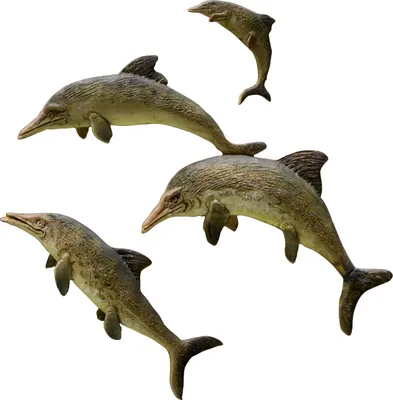 Необычные находки палеонтологов: ихтиозавр с четыремя ноздрями | Вымершие  животные вики | Дзен