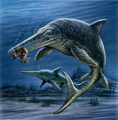 Ихтиозавр (Ichthyosaurus) — фото, описание, размеры, среда обитания — Dino  Farm