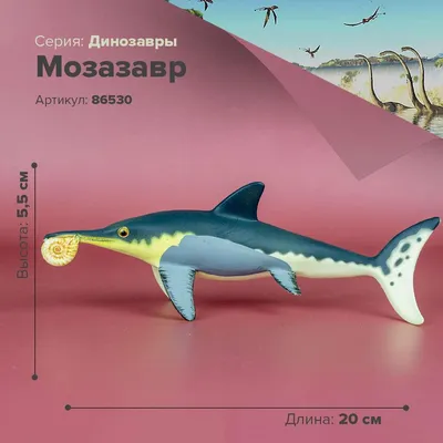 Ихтиозавр Eurhinosaurus на белизне Иллюстрация штока - иллюстрации  насчитывающей иллюстрация, удивительно: 33069489