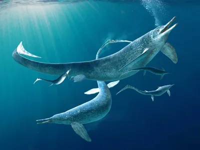 Ученые восстановили облик ихтиозавра: потрясающая реалистичность