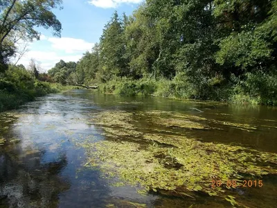 Ил-2 пролежал под водой 70 лет. Но летать будет! - KP.RU