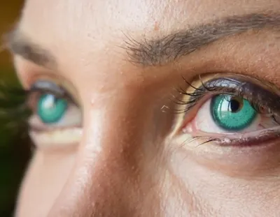 Надоели морщины и мешки под глазами: пластический хирург Беллы Хадид  сделает Виктории Боне новое лицо | STARHIT