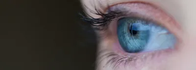 Стартап Science бывшего главы Neuralink будет возвращать людям зрение с  помощью встраивания в глаза электроники и генной терапии