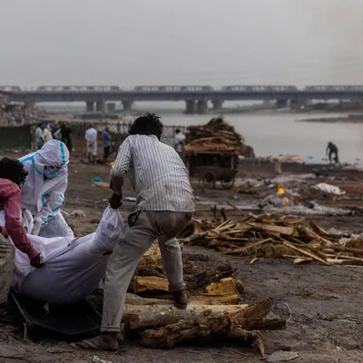 В священной реке в Индии нашли десятки тел умерших от коронавируса:  Происшествия: Мир: Lenta.ru