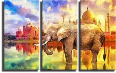иллюстрация серого слона, индийский слон, слоны, млекопитающее, животные,  оранжевый png | Klipartz
