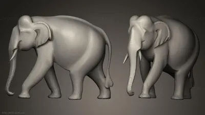 Фотообои Слоны \"Индийский слон\" - арт 018070003 | Купить в  интернет-магазине Фото в дом